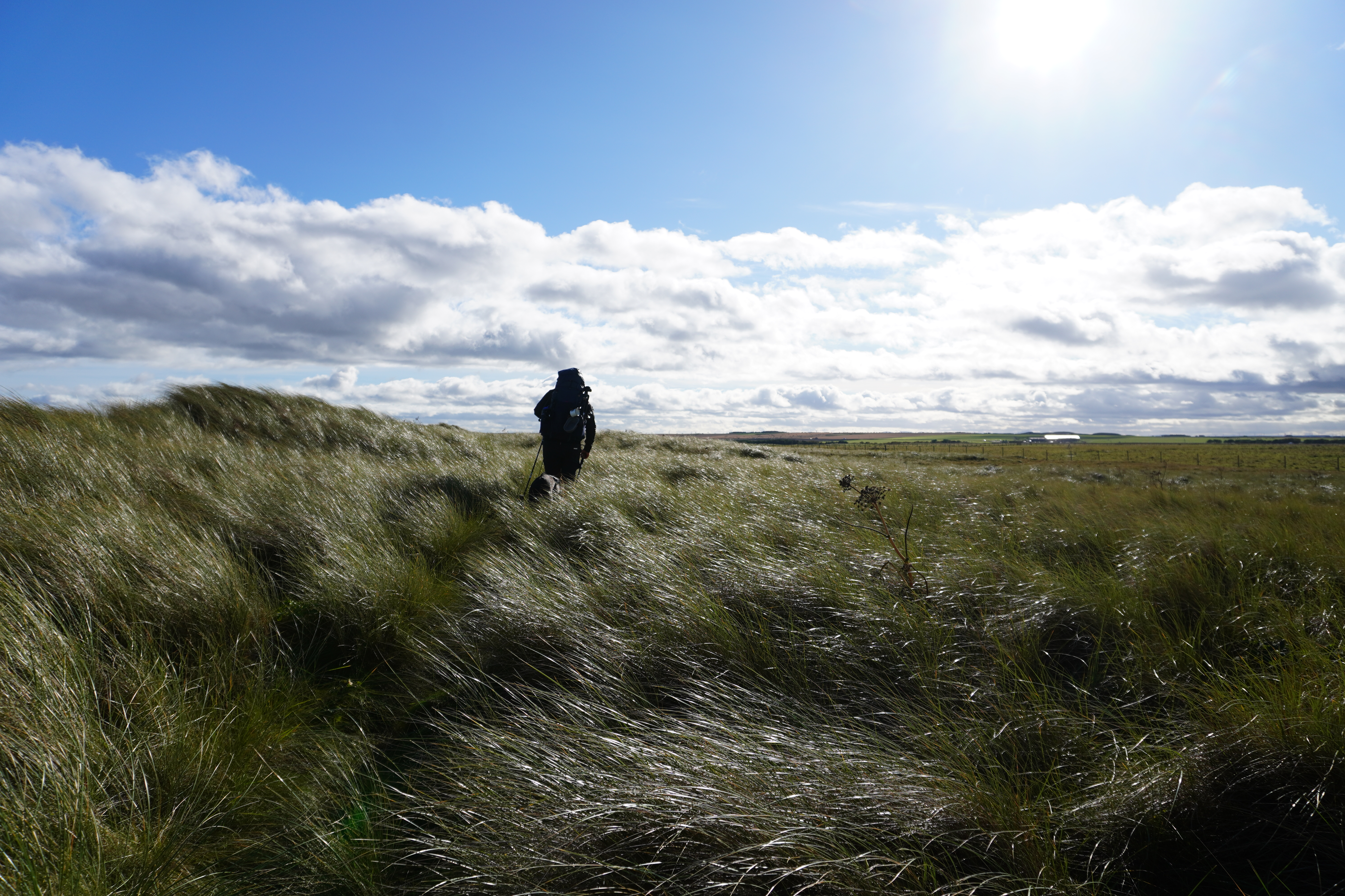 Nick wandert durch hohes Gras in den schottischen Highlands während der JOGLE‑Langstreckenwanderung