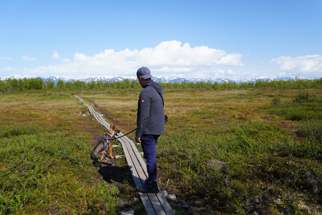 Nick und Hund Nero wandernd im Abisko Nationalpark in Schweden