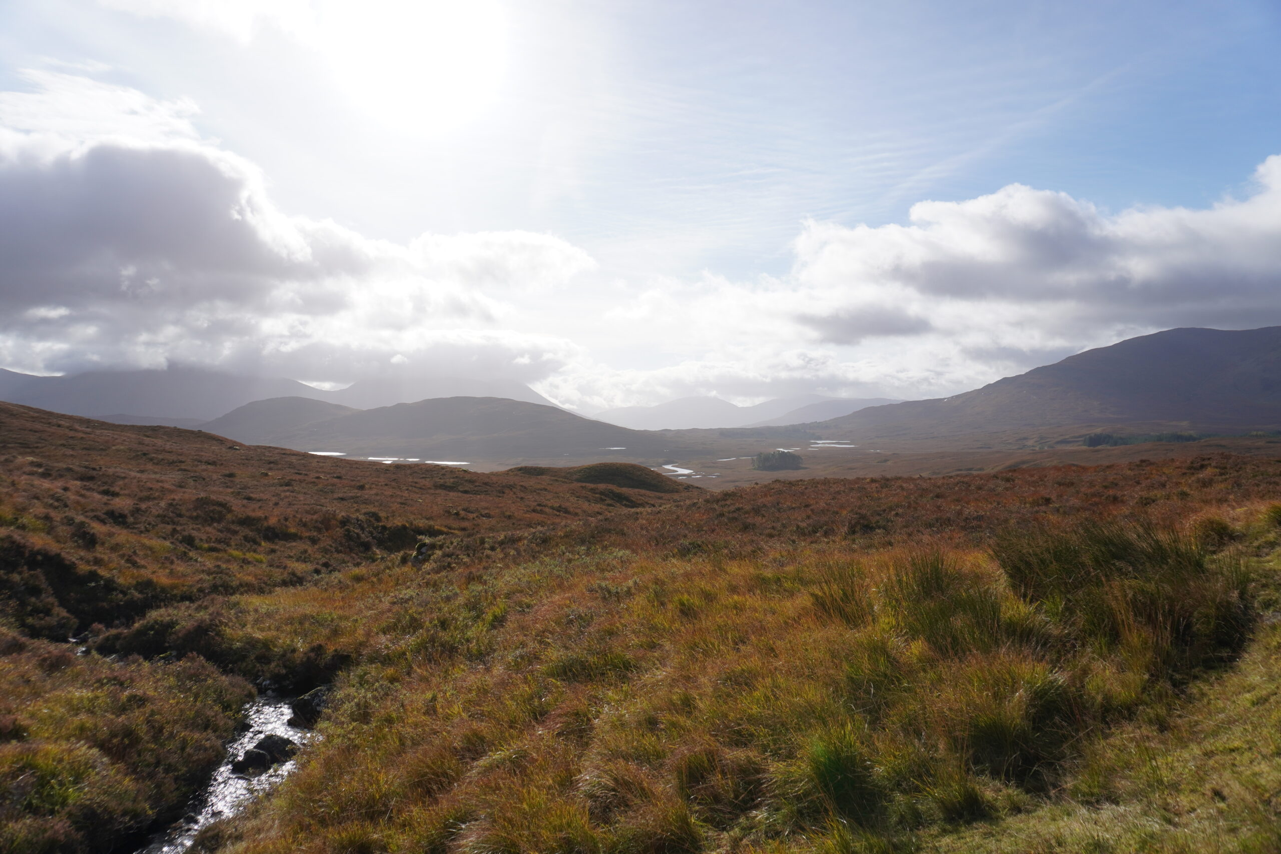 Ein Landschaftsausschnitt des West Highland Way mit hohem Gras, einem Bach und Berge im Hintergrund bei sonnigem Wetter.
