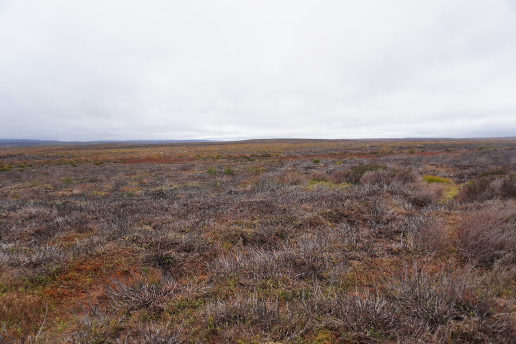 Moorlandschaft auf dem Pennine Way während der Fernwanderung durch England
