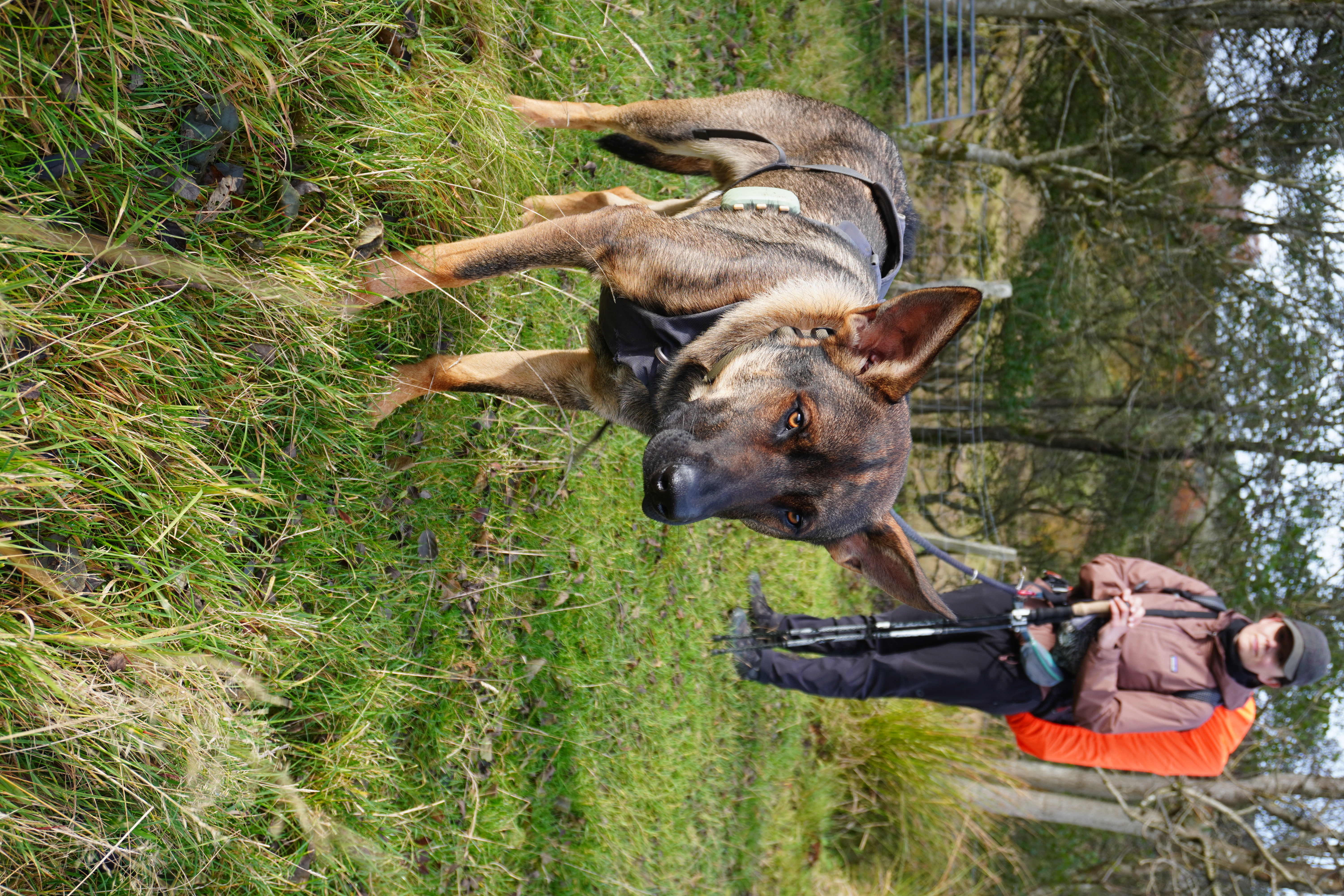Maresa im Hintergrund und Hund Nero im Vordergrund während ihrer JOGLE Fernwanderung durch Großbritannien