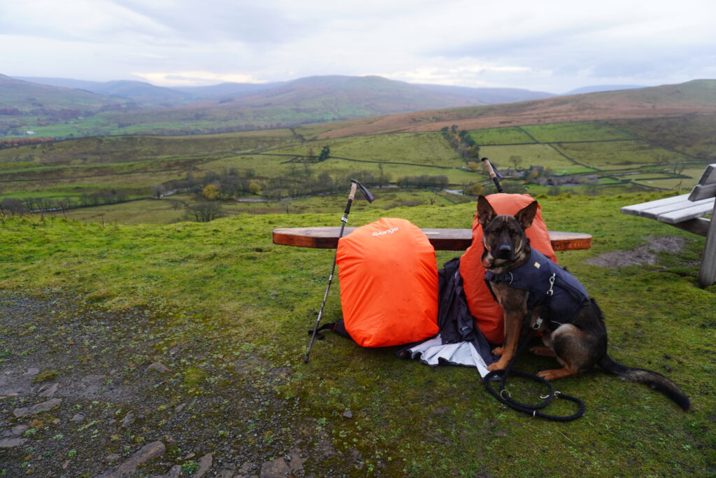 Hund Nero sitzend vor den zwei liegenden Rucksäcken auf dem Pennine Way während der JOGLE Wanderung